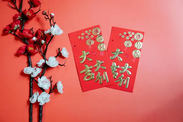 Wisdom in Motion: Spring Festival Greetings & Embracing the Year of the Snake