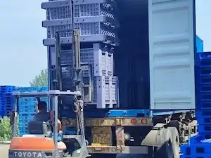 Loading to overseas